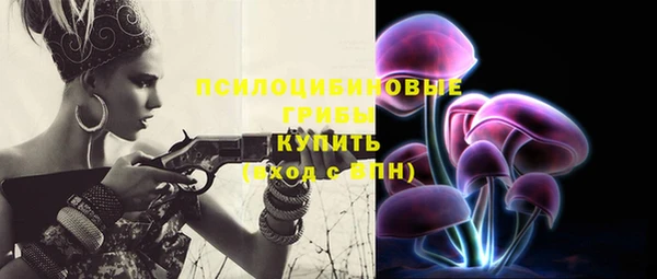 бошки Бородино