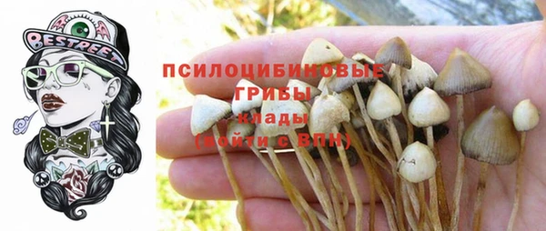 бошки Бородино