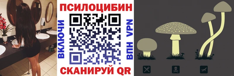 Галлюциногенные грибы MAGIC MUSHROOMS  Купить  Жиздра 